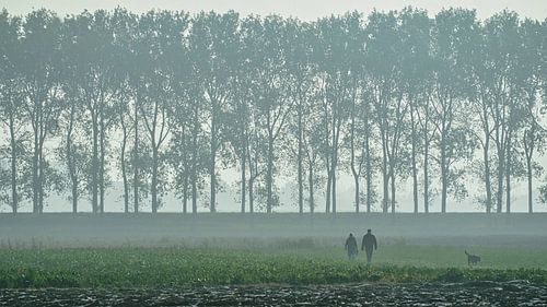 Foggy morning with two dog walkers in the polder in Zeeland