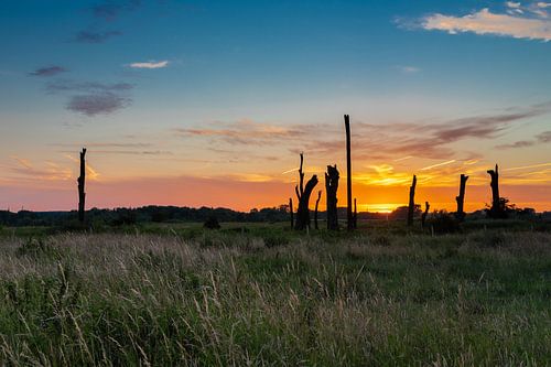 Zomerse zonsondergang bij woodhenge langs de rivier de Maas