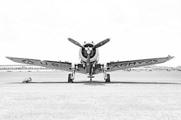 Curtiss-Wright P-36C Hawk "High Key" van Robbert De Reus