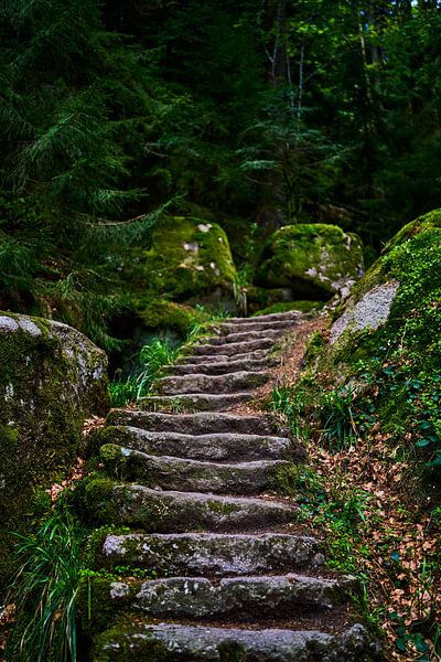 Oud stenen pad in het bos van Jörg Bongartz