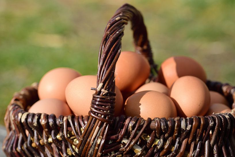 Op een houten basis is er een rieten mandje met eieren binnenin. van Ulrike Leone