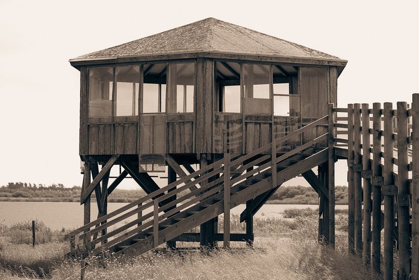 Bird hide in sepia by studio Arcis Photography