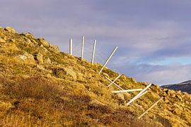 Landschaft mit Zaun und Gras im Osten von Island