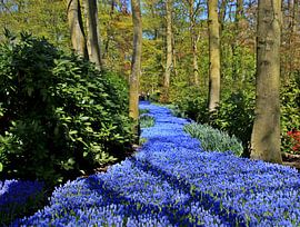 Anders dan je verwacht by Erna Fotografie