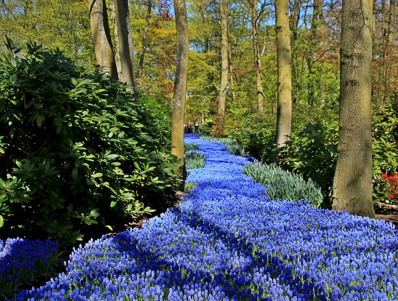 Anders dan je verwacht par Erna Fotografie