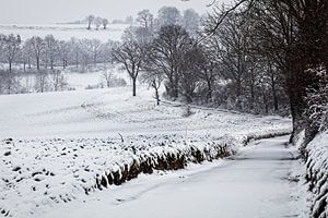Winter @ Eyserbos