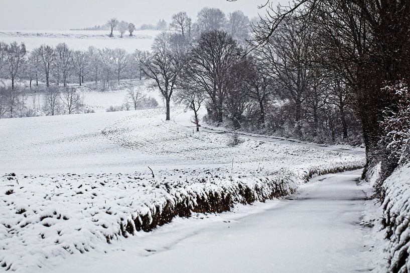 Winter @ Eyserbos van Rob Boon