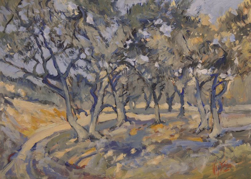 Route le long de l'oliveraie par Nop Briex
