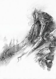 Landscape of the Black Forest