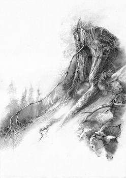 Paysage de la Forêt Noire