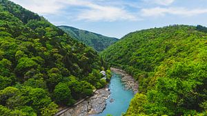 Flusslandschaft - Insgesamt von Maikel van Maanen