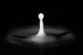 Tropfen weiß-schwarz von Klaartje Majoor