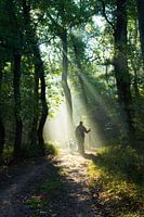 L'homme et son chien
