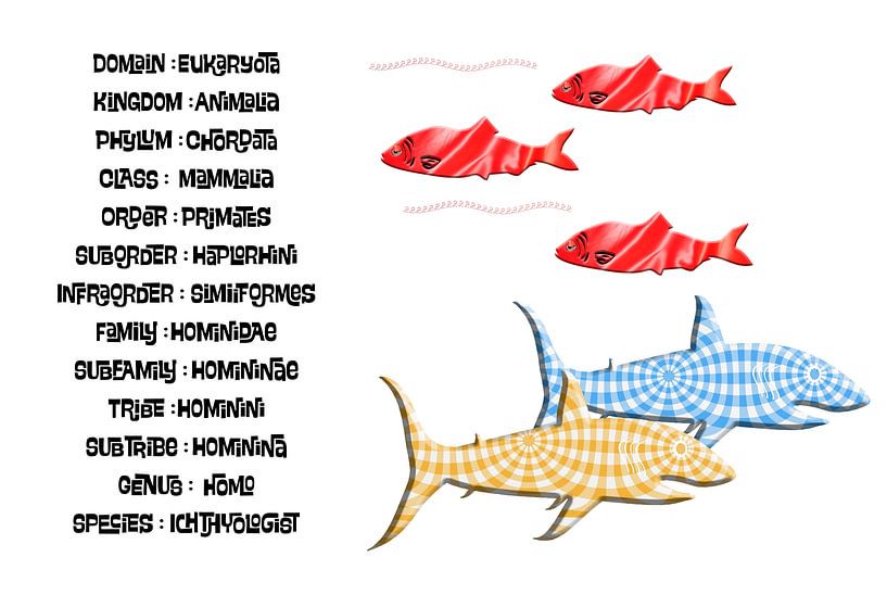 Taxonomie der Ichthyologen von Grüntyers .
