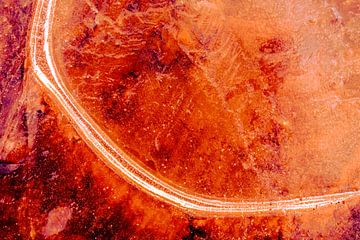 Abstract from Nature #5 van Fred Schuch