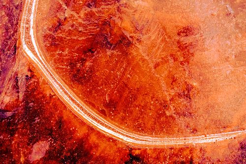 Abstract from Nature #5 van Fred Schuch