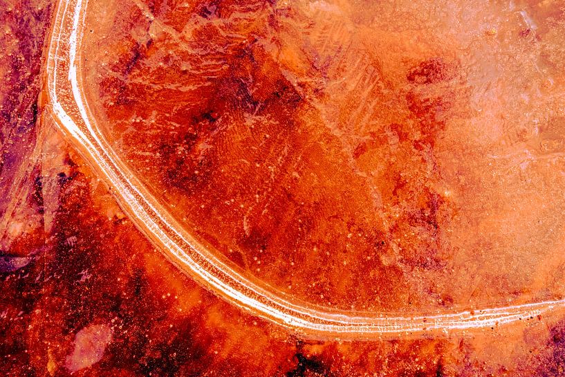 Zusammenfassung aus Nature 5 von Fred Schuch