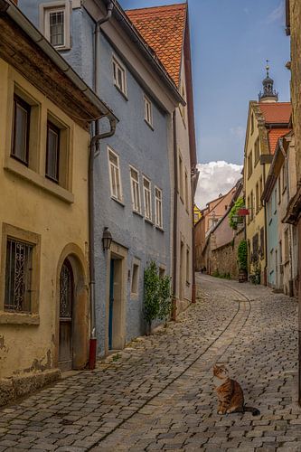 Kattensfeer in een schilderachtig straatje van Rothenburg ob der Tauber van Tonny Verhulst