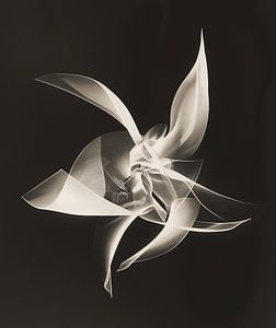 Photogramme abstrait dans le style des photos vintage de Man Ray