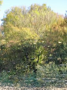 Urbane Reflektion - Frühlings Schimmer