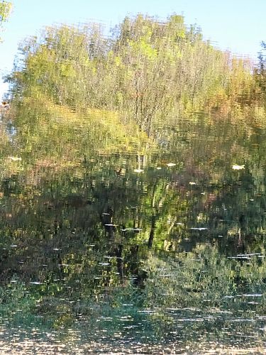 Urban Reflections 142