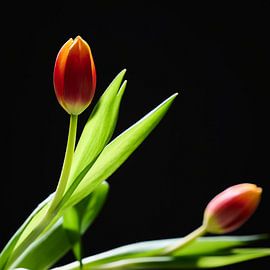 Foto von Tulpen von Sjoerd van der Hucht