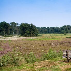 Het bankje van Kienveen van Ada Zyborowicz