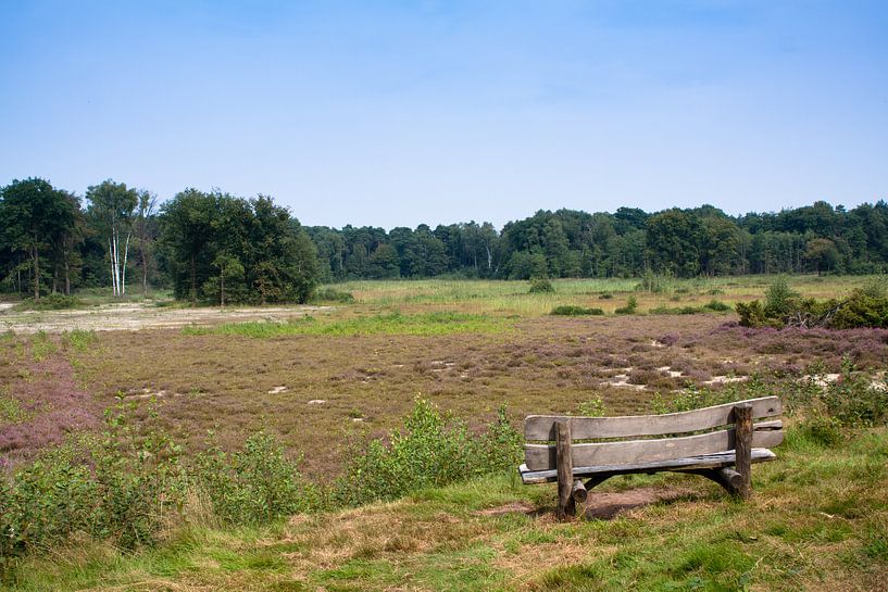 The bench of Kienveen by Ada Zyborowicz