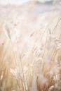 Enchanting Wind Dancer by Steffen Gierok thumbnail
