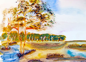 Moorlandschaft