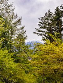Mont Fuji - Japon (Tokyo)