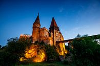 Schloss Hunedoara von Roland Brack Miniaturansicht