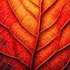 Herbstgeometrie – Blatt im Wandel von Sabine Wagner
