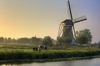 Landschaft De Hooge Boezem, Haastrecht von Stephan Neven Miniaturansicht