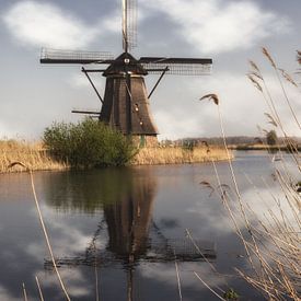 Een molen in Kinderdijk van Tim Abeln