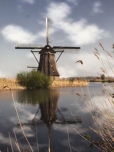 Een molen in Kinderdijk van Tim Abeln