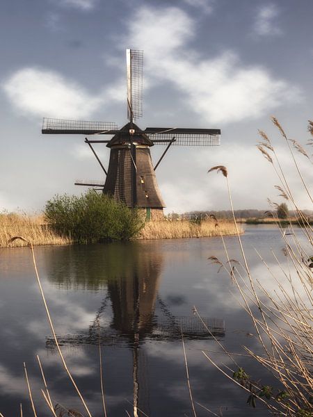 Un moulin à Kinderdijk par Tim Abeln