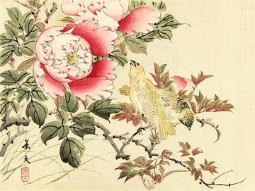 Oiseaux et pivoines, Matsumura Keibun