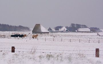 Texel dans la neige sur Peter Schoo - Natuur & Landschap