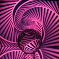 Rosa mit einem Twist