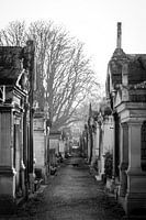 Montmatre Cemetery