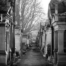 Montmatre-Friedhof von Esther Faber