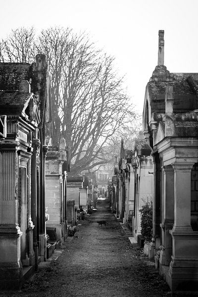 Montmatre Cemetery by Esther Faber