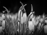 New beginnings and hope