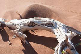 Houten krab von Miranda Zwijgers