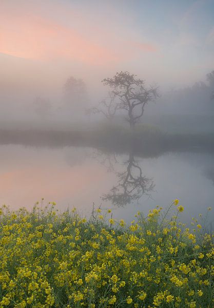 Lente weerspiegelingen in de boomgaard van Raoul Baart