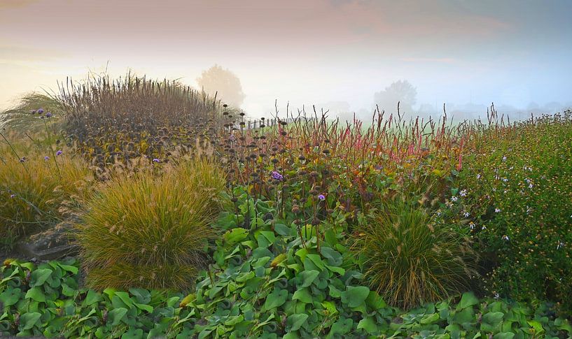 Herbstblumen von Jose Lok