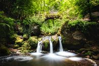 Schiessentümpel waterfall in Müllerthal, Luxembourg by Chris Snoek thumbnail