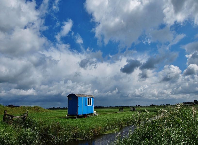 still got the blues by Annemieke van der Wiel