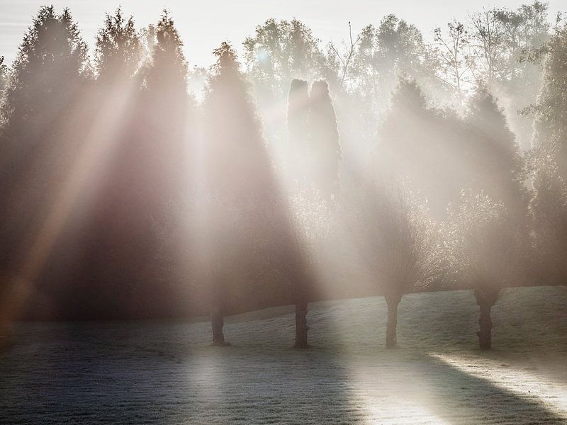 Sonnenaufgang in Beertsenhoven von Rob Boon